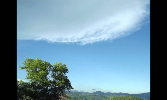 Count Your Blessings ë¤ì´ë² ë¸ë¡ê·¸ count your blessings ë¤ì´ë² ë¸ë¡ê·¸